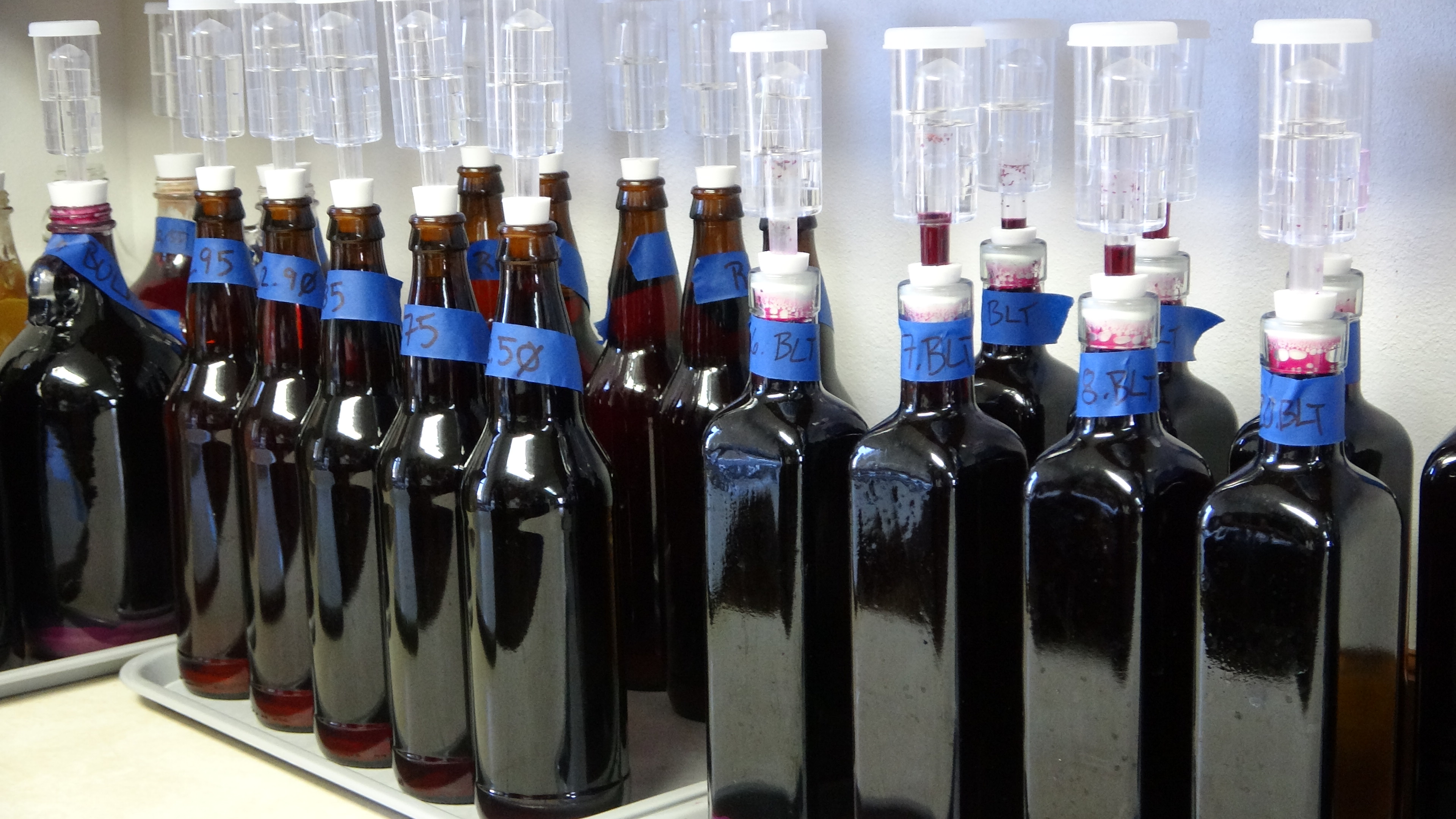 Grape fermentation