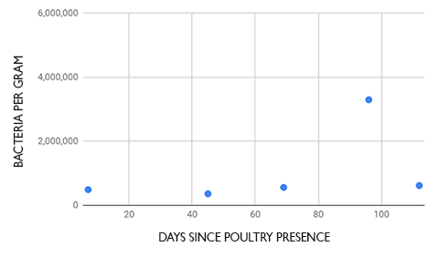 graph showing enterobacteriaceae counts vs days since poultry presence