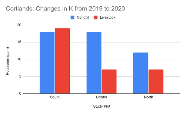 Cortlands: Change in K 2019 to 2020