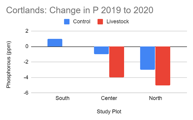 Cortlands: Change in P 2019 to 2020