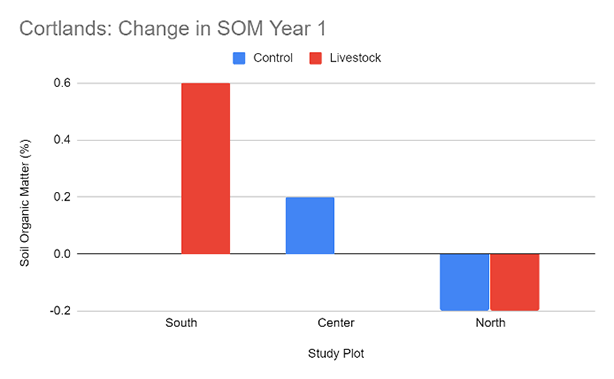 Cortlands: Change in SOM 2019 to 2020