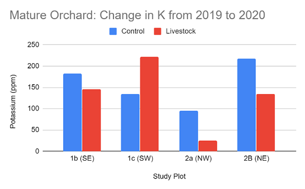Mature Orchard: Change in K 2019 to 2020
