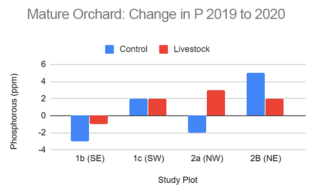 Mature Orchard: Change in P 2019 to 2020