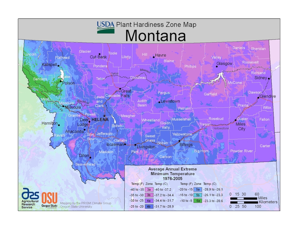 USDA's hardiness zone map for the state of Montana.