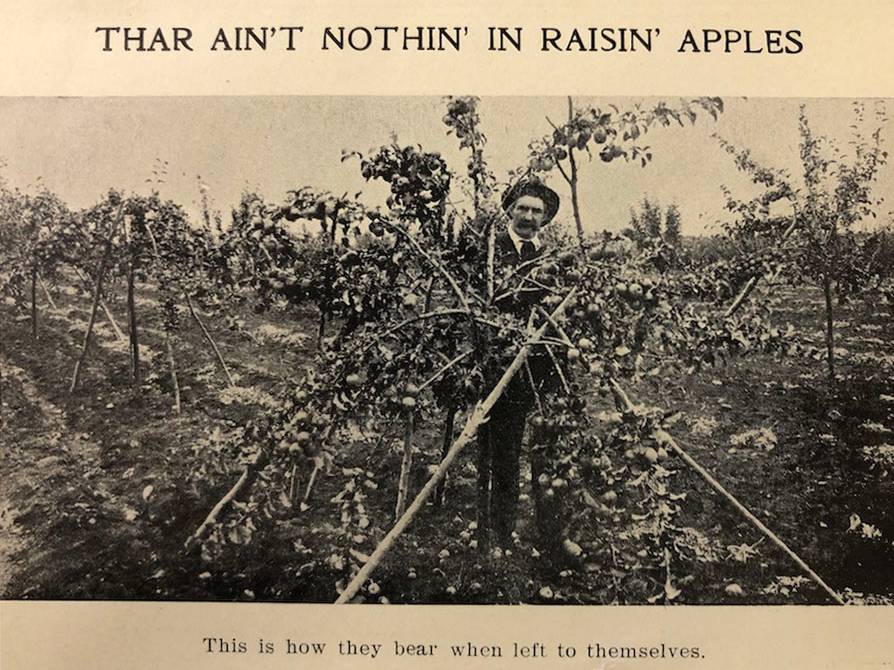 PHOTO: "Thar Ain't Nothin' In Raisin' Apples" in The Land of the McInstosh Red. Published by the Board of the  Ravalli County Commissioners, 1908.