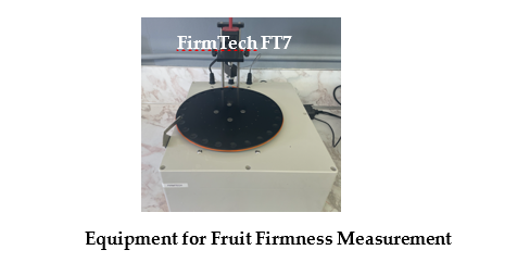 FirmTech FT 7