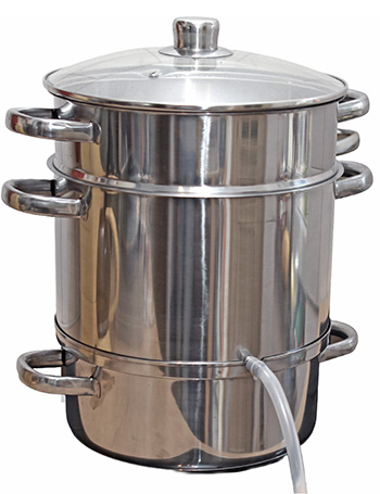 steam juicer