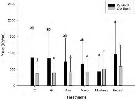A bar graph showing the yield vs treatments. 