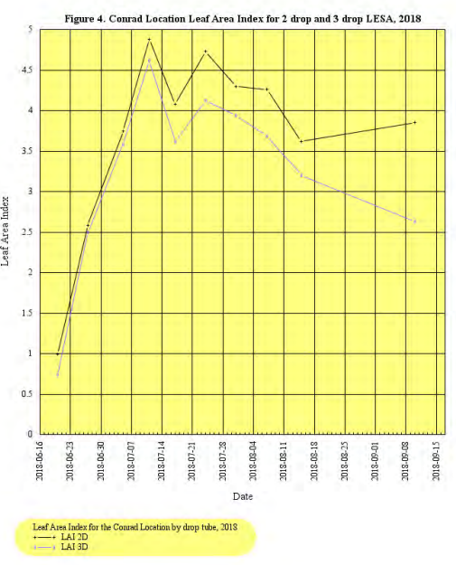 Fig 4: A line graph discribing the leaf area index at the Conrad location.
