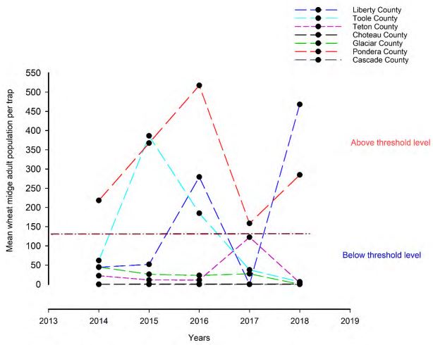 A line graph discribing the wheat midge population by year.