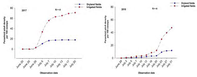 Two double line graphs side by side discribing parasitoid population by date.