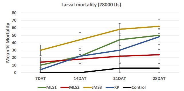 A line graph discribing mean mortality.