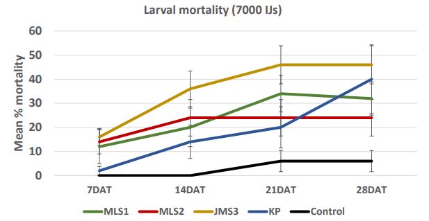 A line graph dscribing larval mortality.