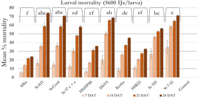 A bar graph of mean wireworm mortality. 