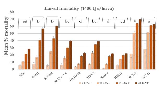 A bar graph of mean mortality. 