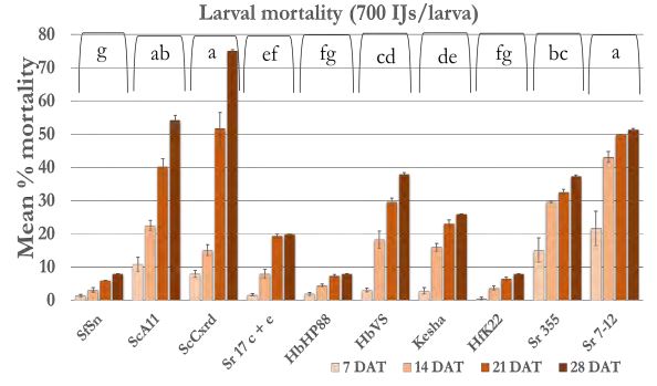 A bar graph of larval mortality. 