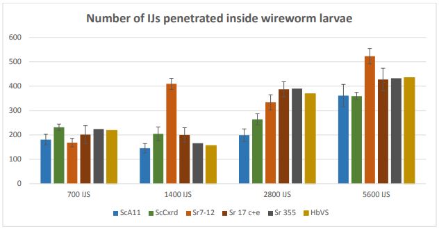 A multiple bar graph showing IJs penetration.