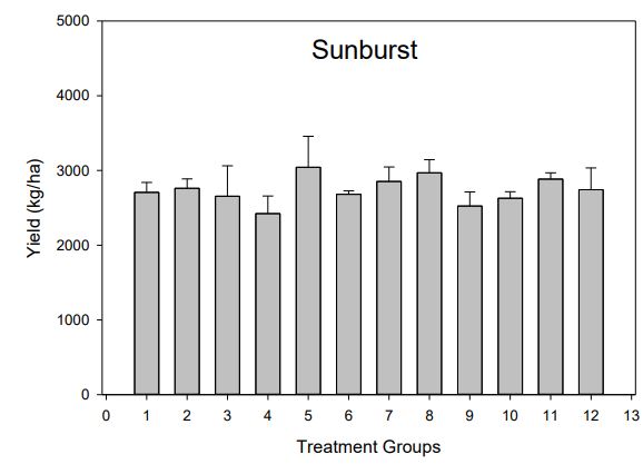 A bar graph titled "Sunburst"