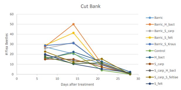A line graph titled "Cut Bank"