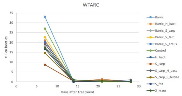 A line graph titled "WTARC"