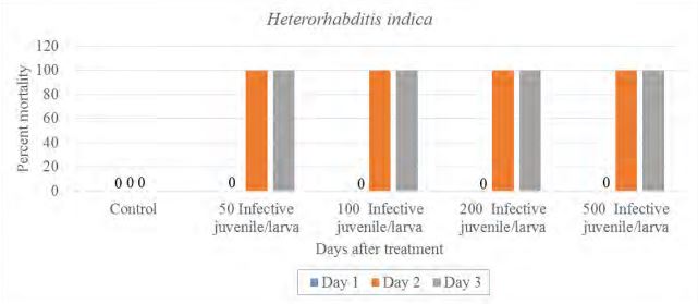 A double bar graph titled "Heterorhadbitis indica"