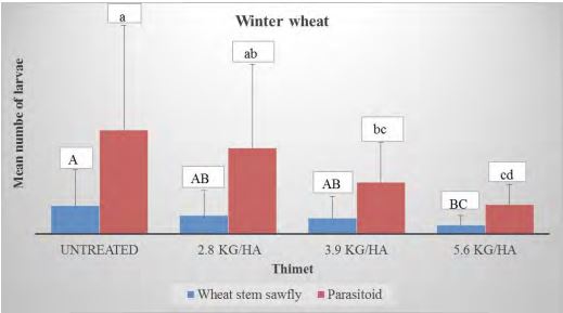 A double bar graph titled "Winter Wheat"