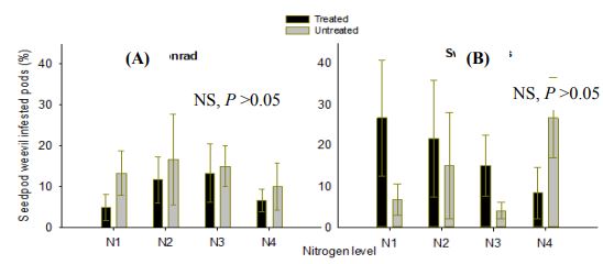 Two side by side bar graphs. Seed weevil infestation over time by per site and nitrogen level.