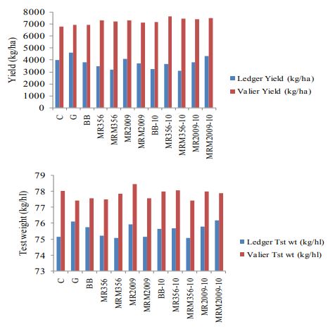 Two double bar graphs of yeild and test weight.