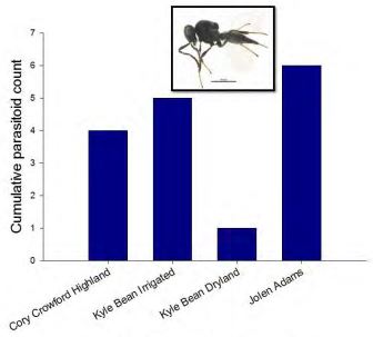 A bar graph of discribing the parasitoid at different sites.