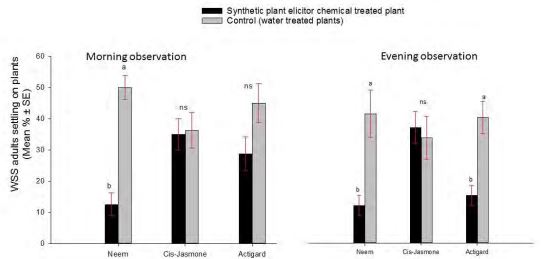 Two side by side bar double bar graphs discribing the plant defense.