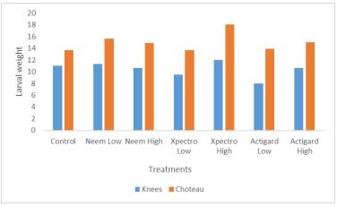 A double bar graph of larval weight and treatments.