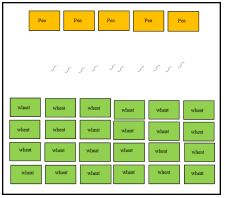 Yellow and green rectangles representing the configuation of the Trap Crop experiment.