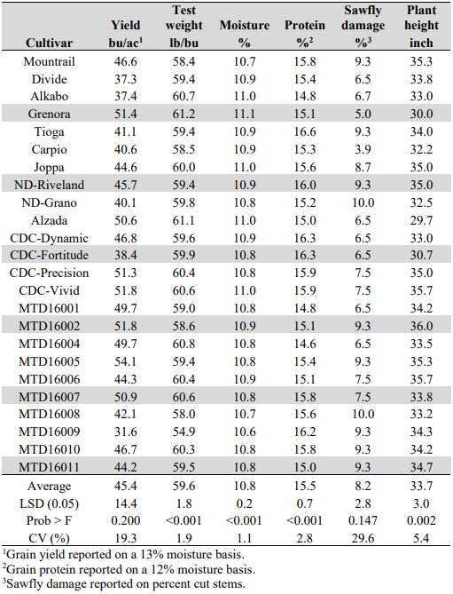A table of means by cultivar including yield, test weight, moisture content, protien content, sawfly damage, and plant height.