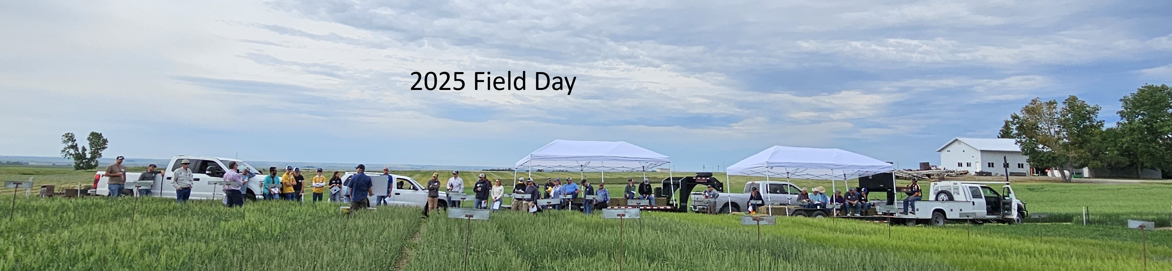 2025 field day