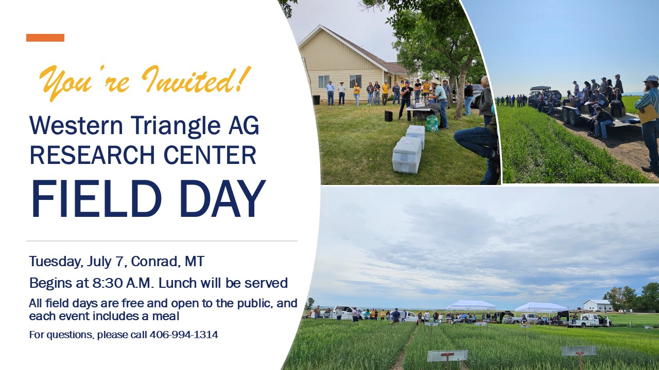 2026 Field Day 