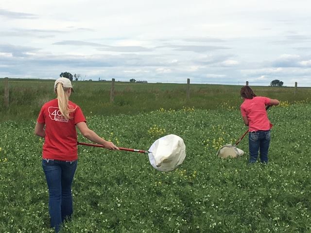 WTARC workers in field